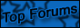 The Top 100 Forums